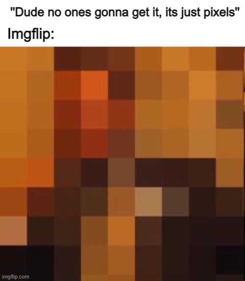 I bet you can tell the template | ''Dude no ones gonna get it, its just pixels''; Imgflip: | image tagged in funny | made w/ Imgflip meme maker