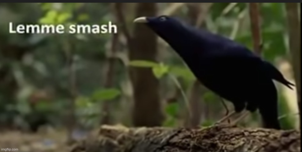 XDDDD | made w/ Imgflip meme maker