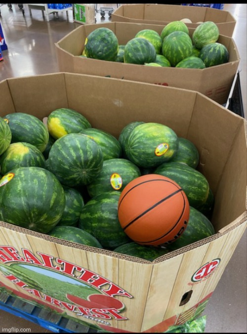 That's a basketball in there! | image tagged in watermelon fail | made w/ Imgflip meme maker