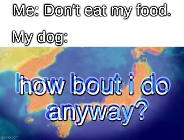 Not for doggos. | Me: Don't eat my food. My dog: | image tagged in how bout i do anyway | made w/ Imgflip meme maker