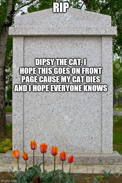 Me cat die :c |  RIP; DIPSY THE CAT, I HOPE THIS GOES ON FRONT PAGE CAUSE MY CAT DIES AND I HOPE EVERYONE KNOWS | image tagged in blank gravestone,sad | made w/ Imgflip meme maker