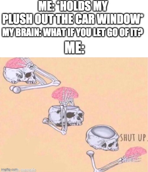 oh ok | ME: *HOLDS MY PLUSH OUT THE CAR WINDOW*; MY BRAIN: WHAT IF YOU LET GO OF IT? ME: | image tagged in skeleton shut up meme | made w/ Imgflip meme maker