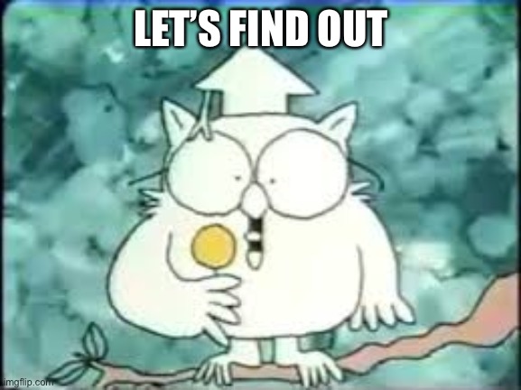 tootsie pop owl | LET’S FIND OUT | image tagged in tootsie pop owl | made w/ Imgflip meme maker