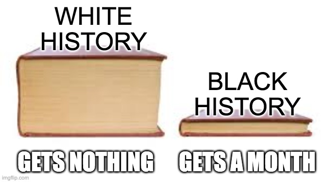 Big book small book | WHITE HISTORY BLACK HISTORY GETS NOTHING GETS A MONTH | image tagged in big book small book | made w/ Imgflip meme maker