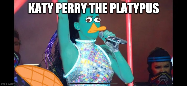 KATY PERRY THE PLATYPUS | made w/ Imgflip meme maker