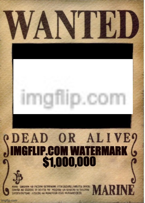 One piece wanted poster template - Imgflip