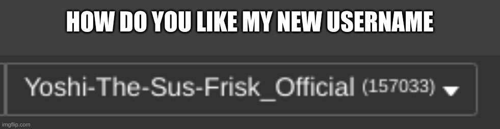 HOW DO YOU LIKE MY NEW USERNAME | made w/ Imgflip meme maker