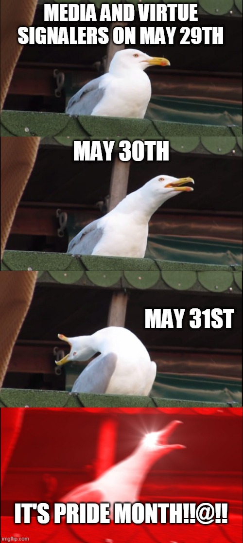 Pride month virtue signalers | MEDIA AND VIRTUE SIGNALERS ON MAY 29TH; MAY 30TH; MAY 31ST; IT'S PRIDE MONTH!!@!! | image tagged in memes,inhaling seagull,pride,virtue | made w/ Imgflip meme maker