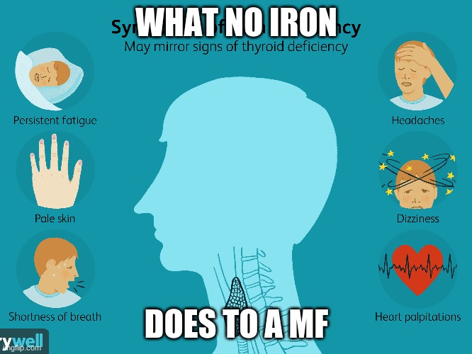 hnt | WHAT NO IRON; DOES TO A MF | image tagged in funny | made w/ Imgflip meme maker
