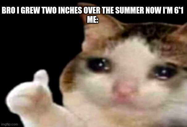 Sad cat thumbs up | BRO I GREW TWO INCHES OVER THE SUMMER NOW I'M 6'1
ME: | image tagged in sad cat thumbs up | made w/ Imgflip meme maker