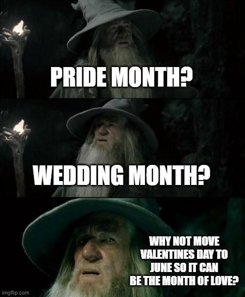 Just move all the lovey dovey holidays to one month and call that a special month. | PRIDE MONTH? WEDDING MONTH? WHY NOT MOVE VALENTINES DAY TO JUNE SO IT CAN BE THE MONTH OF LOVE? | image tagged in memes,confused gandalf | made w/ Imgflip meme maker