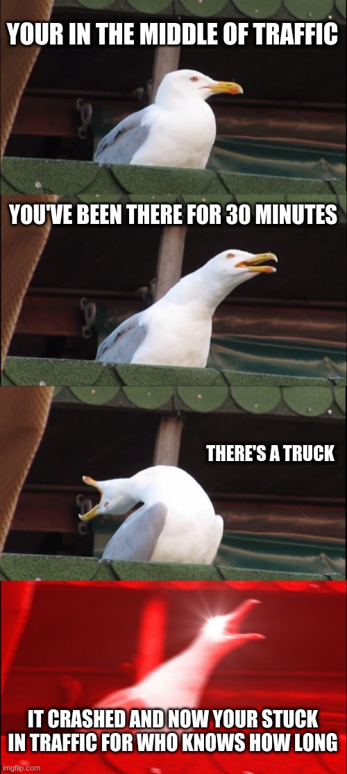 i dont want to be here | YOUR IN THE MIDDLE OF TRAFFIC; YOU'VE BEEN THERE FOR 30 MINUTES; THERE'S A TRUCK; IT CRASHED AND NOW YOUR STUCK IN TRAFFIC FOR WHO KNOWS HOW LONG | image tagged in memes,inhaling seagull | made w/ Imgflip meme maker