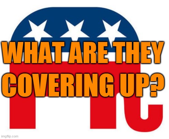 WHAT ARE THEY COVERING UP? | WHAT ARE THEY; COVERING UP? | image tagged in gop,republicans,trump,mccarthy,mcconnell | made w/ Imgflip meme maker