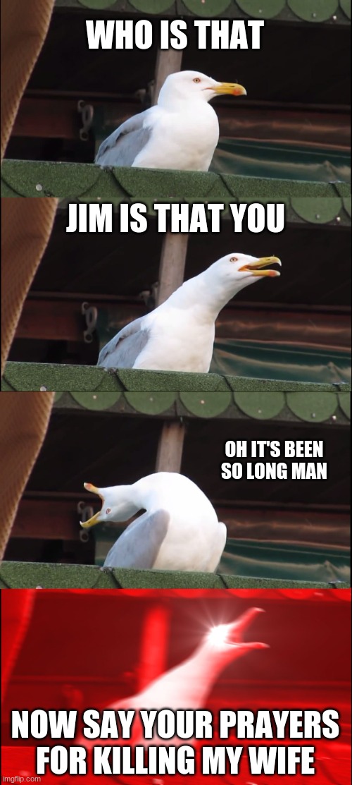 bye jim | WHO IS THAT; JIM IS THAT YOU; OH IT'S BEEN SO LONG MAN; NOW SAY YOUR PRAYERS FOR KILLING MY WIFE | image tagged in memes,inhaling seagull | made w/ Imgflip meme maker