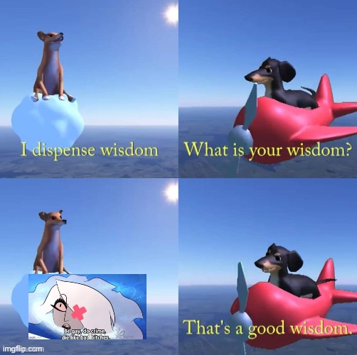 Wisdom dog | image tagged in wisdom dog | made w/ Imgflip meme maker