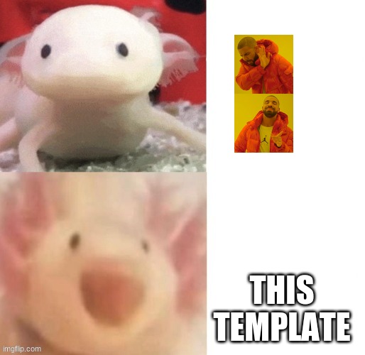AWWWWW | THIS TEMPLATE | image tagged in axolotl | made w/ Imgflip meme maker