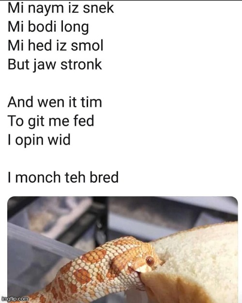 AWWWWW | made w/ Imgflip meme maker