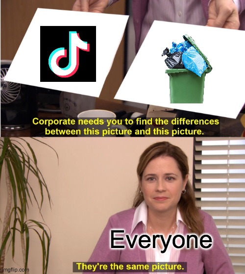 They're The Same Picture Meme | Everyone | image tagged in memes,they're the same picture | made w/ Imgflip meme maker