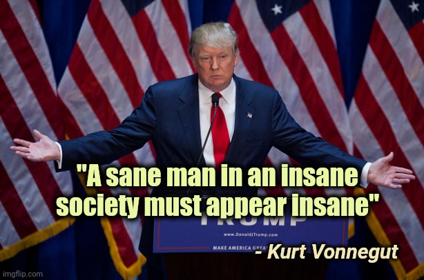 Donald Trump | "A sane man in an insane society must appear insane" - Kurt Vonnegut | image tagged in donald trump | made w/ Imgflip meme maker