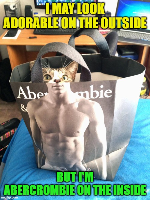 I'm Abercrombie on the inside | I MAY LOOK ADORABLE ON THE OUTSIDE; BUT I'M ABERCROMBIE ON THE INSIDE | image tagged in abercrombie,adorable,cats,memes | made w/ Imgflip meme maker