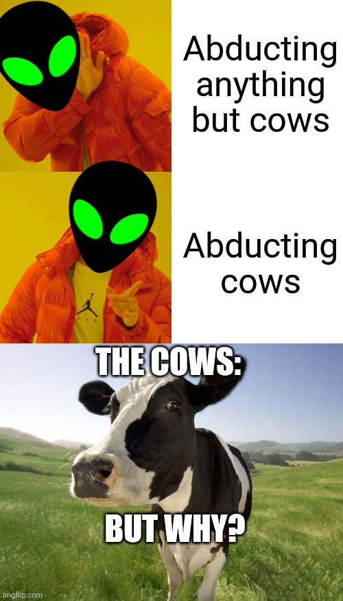 You look like you need a meme, here |  Abducting anything but cows; Abducting cows; THE COWS:; BUT WHY? | image tagged in memes,drake hotline bling,cow,aliens,abduction | made w/ Imgflip meme maker