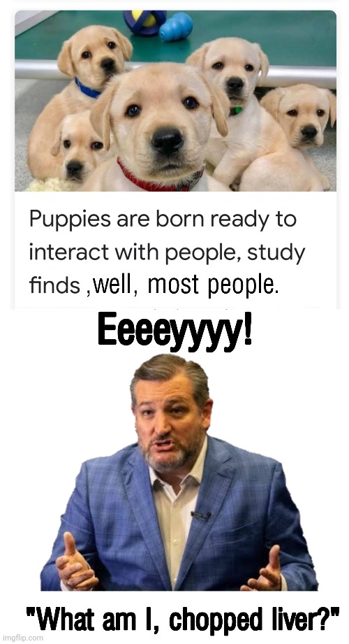 Puppies Know Best | image tagged in labs,puppies,ted cruz,chopped liver,fascist | made w/ Imgflip meme maker