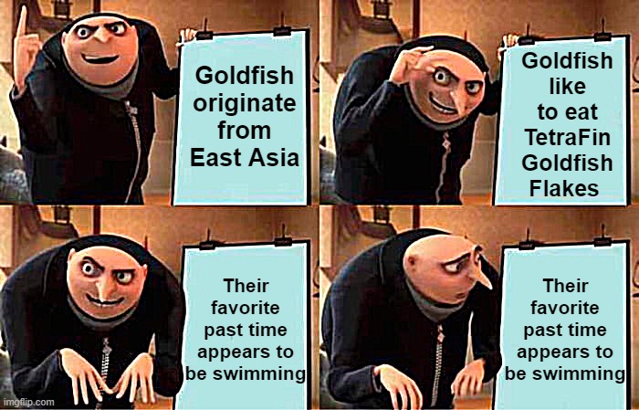 Like,  NO KIDDING! | Goldfish originate from East Asia; Goldfish like to eat TetraFin Goldfish Flakes; Their favorite past time appears to be swimming; Their favorite past time appears to be swimming | image tagged in memes,gru's plan | made w/ Imgflip meme maker