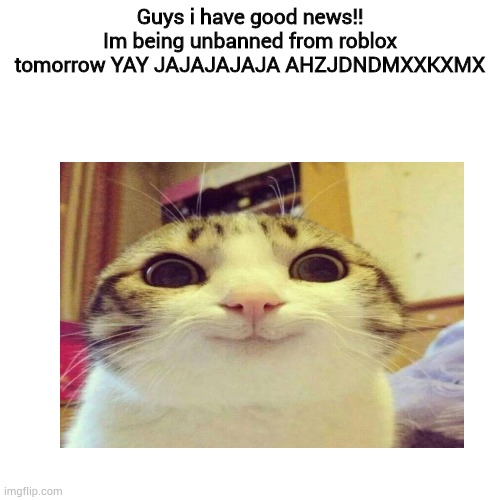 Good news guys :D | Guys i have good news!!
Im being unbanned from roblox tomorrow YAY JAJAJAJAJA AHZJDNDMXXKXMX | image tagged in happy day,memes,funny,getting unbanned from roblox,oh boi i cant wait to plau roblox again,made by bob_fnf | made w/ Imgflip meme maker