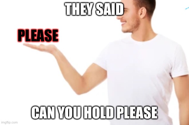 Bruh | THEY SAID; PLEASE; CAN YOU HOLD PLEASE | image tagged in guy holding nothing,please | made w/ Imgflip meme maker