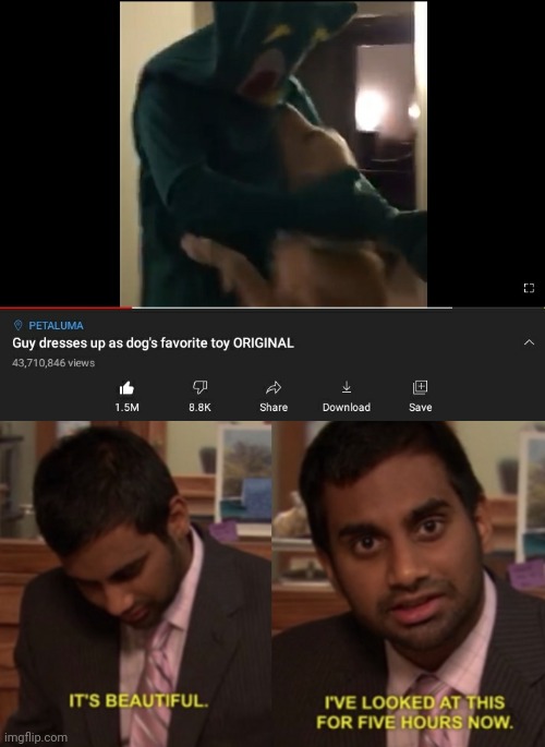 Pretty dam wholesome | image tagged in i've looked at this for 5 hours now,memes,dogs,wholesome | made w/ Imgflip meme maker