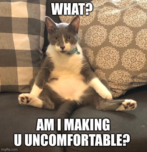 Uncomfortable yet? | WHAT? AM I MAKING U UNCOMFORTABLE? | image tagged in funny cat memes | made w/ Imgflip meme maker