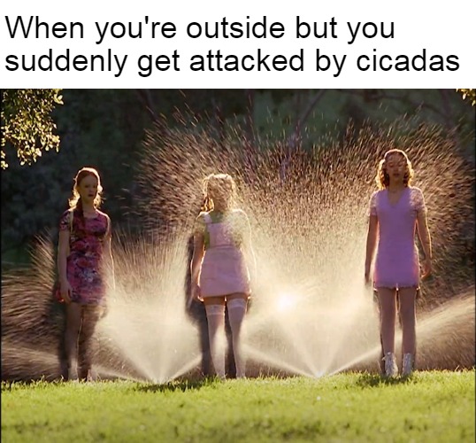Cokie and Friends Soaked by Sprinklers | When you're outside but you suddenly get attacked by cicadas | image tagged in cokie and friends soaked by sprinklers,memes,cokie,cicadas,cicada | made w/ Imgflip meme maker