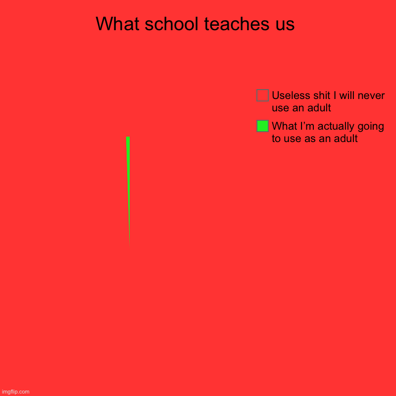 It’s true | What school teaches us | What I’m actually going to use as an adult, Useless shit I will never use an adult | image tagged in charts,pie charts | made w/ Imgflip chart maker