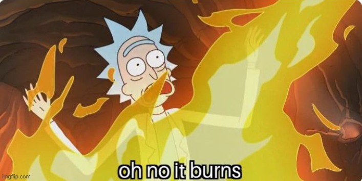 Oh no it burns Rick and Morty | image tagged in oh no it burns rick and morty | made w/ Imgflip meme maker