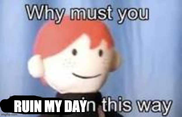 Why must you hurt me in this way | RUIN MY DAY | image tagged in why must you hurt me in this way | made w/ Imgflip meme maker