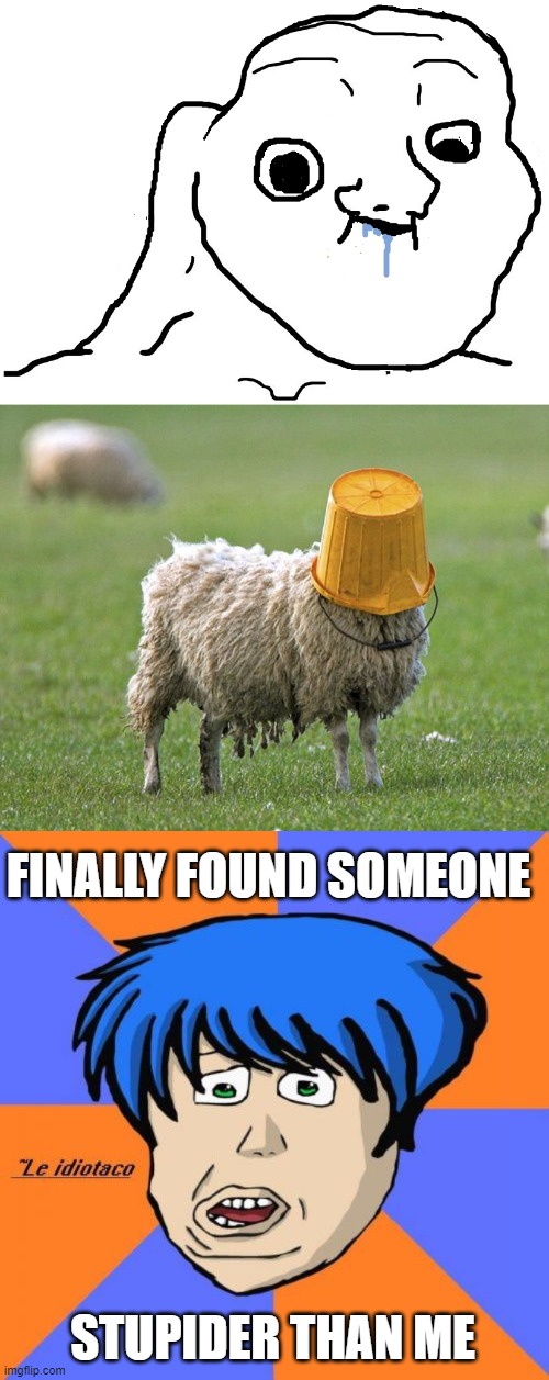 FINALLY FOUND SOMEONE STUPIDER THAN ME | image tagged in brainlet stupid,stupid sheep,memes,idiotaco | made w/ Imgflip meme maker