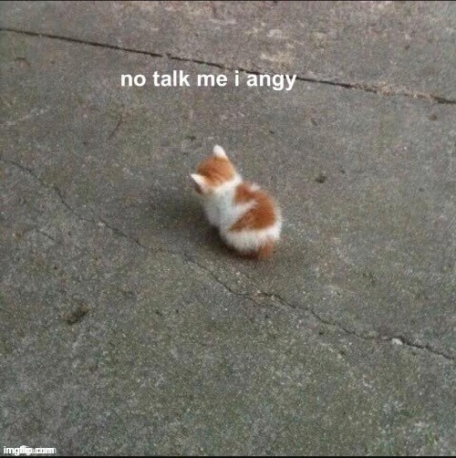 no talk to me i angy | image tagged in no talk to me i angy | made w/ Imgflip meme maker