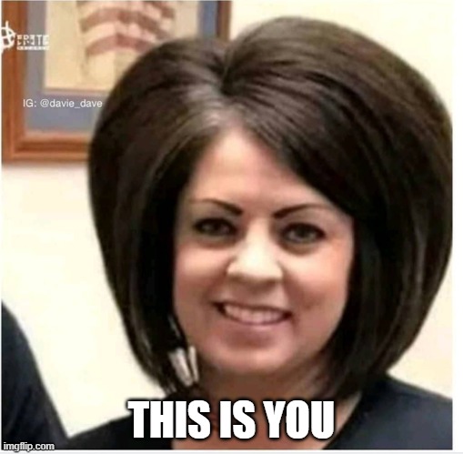 Mega Karen | THIS IS YOU | image tagged in mega karen | made w/ Imgflip meme maker