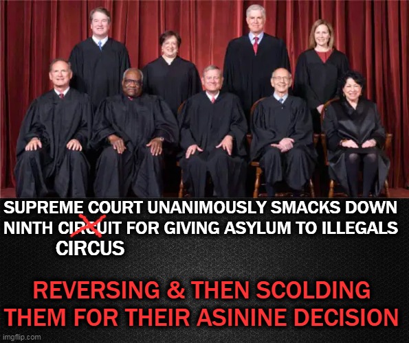 Good!! Supreme Court Doing Their Job... | SUPREME COURT UNANIMOUSLY SMACKS DOWN NINTH CIRCUIT FOR GIVING ASYLUM TO ILLEGALS; CIRCUS; REVERSING & THEN SCOLDING 
THEM FOR THEIR ASININE DECISION | image tagged in politics,supreme court,ninth circuit,constitution,it's the law | made w/ Imgflip meme maker