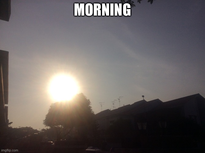 just took this picture today. (if its night for you go to sleep) | MORNING | made w/ Imgflip meme maker