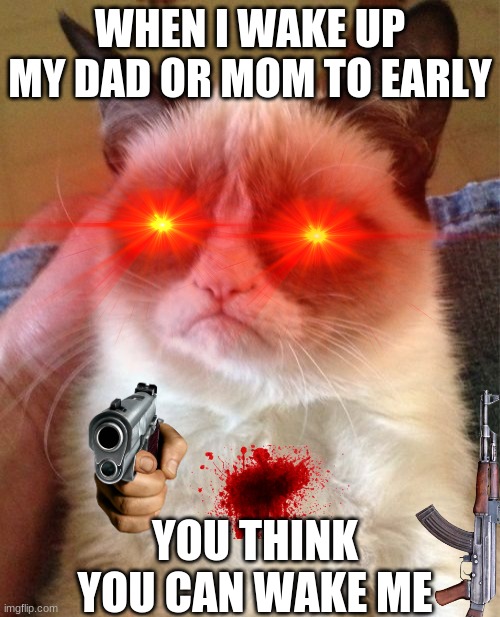 cats | WHEN I WAKE UP MY DAD OR MOM TO EARLY; YOU THINK YOU CAN WAKE ME | image tagged in funny | made w/ Imgflip meme maker