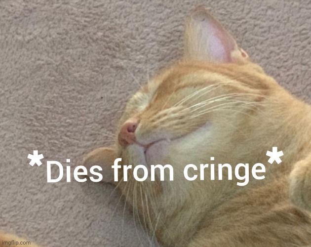 Cat dies from cringe | * * | image tagged in cat dies from cringe | made w/ Imgflip meme maker