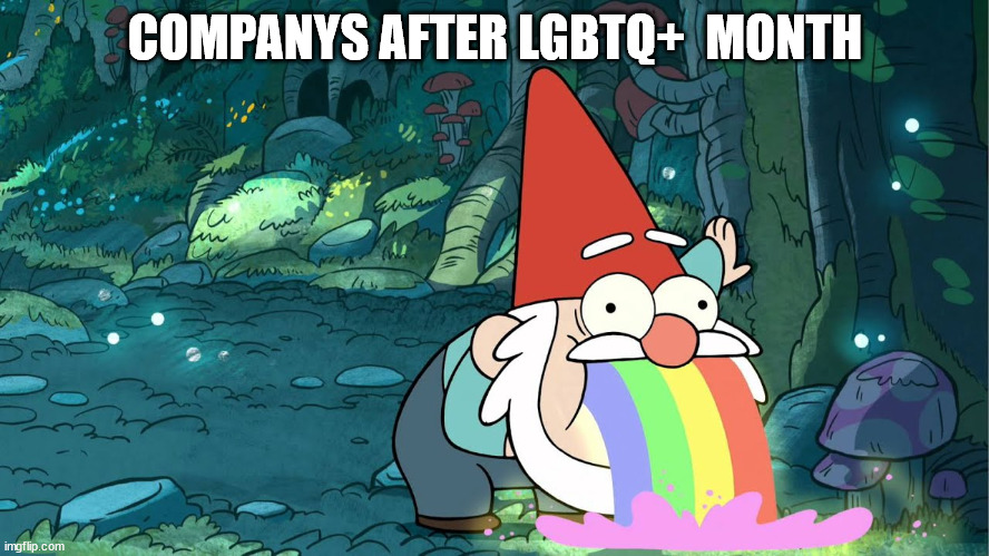 sheesh | COMPANYS AFTER LGBTQ+  MONTH | image tagged in memes | made w/ Imgflip meme maker