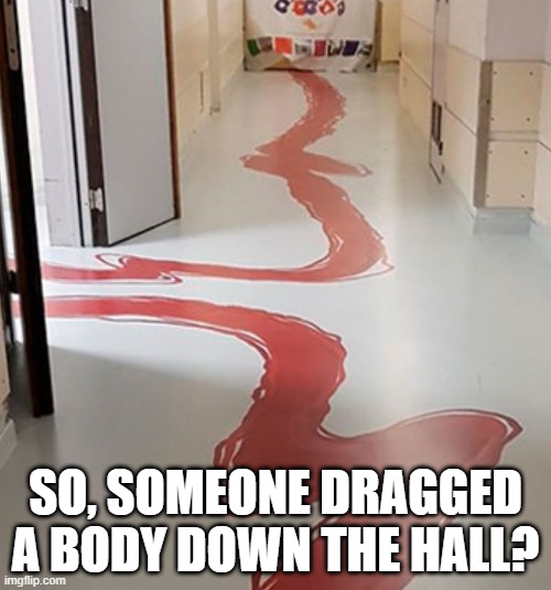 Bloody Mess | SO, SOMEONE DRAGGED A BODY DOWN THE HALL? | image tagged in you had one job | made w/ Imgflip meme maker