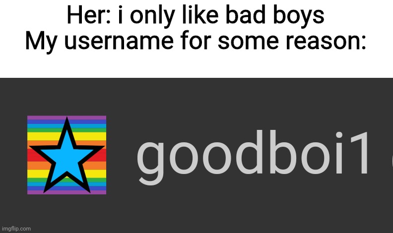 Sadly, i am a goodboi | Her: i only like bad boys

My username for some reason: | image tagged in oof,username | made w/ Imgflip meme maker