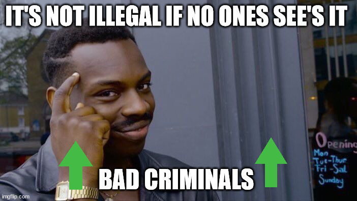 does anyone laugh at my memes | IT'S NOT ILLEGAL IF NO ONES SEE'S IT; BAD CRIMINALS | image tagged in memes,roll safe think about it | made w/ Imgflip meme maker