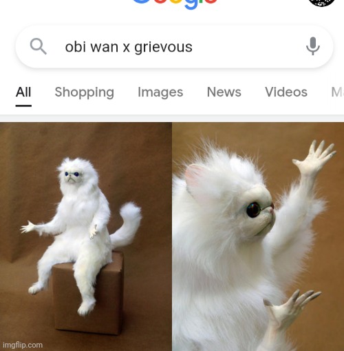 Shopping goes before images? | image tagged in memes,persian cat room guardian | made w/ Imgflip meme maker