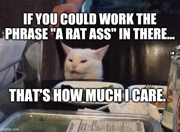 Salad cat | IF YOU COULD WORK THE PHRASE "A RAT ASS" IN THERE... J M; THAT'S HOW MUCH I CARE. | image tagged in salad cat | made w/ Imgflip meme maker