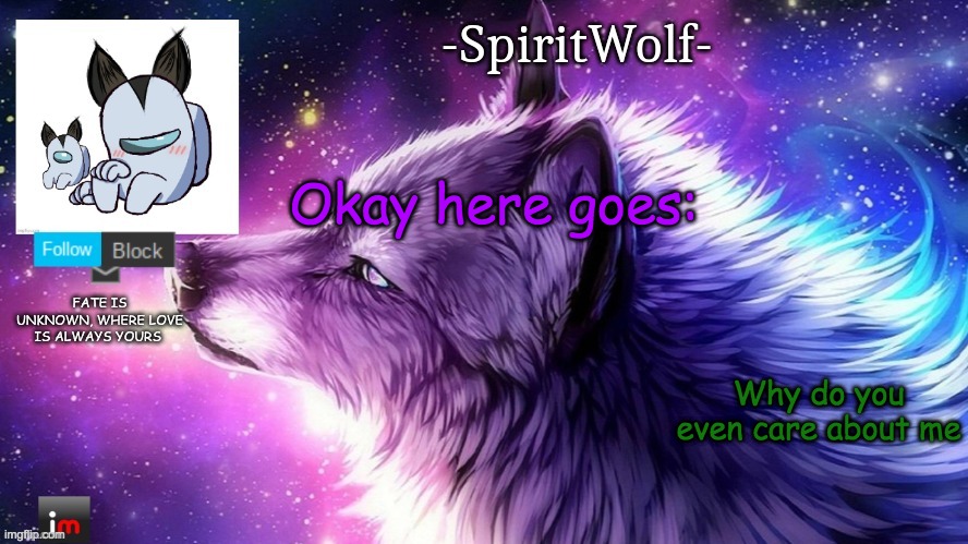 I mean why? im useless | Okay here goes:; Why do you even care about me | image tagged in -spiritwolf- announcement temp | made w/ Imgflip meme maker
