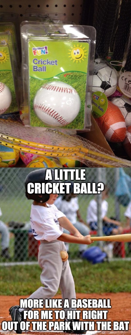 Not a cricket ball |  A LITTLE CRICKET BALL? MORE LIKE A BASEBALL FOR ME TO HIT RIGHT OUT OF THE PARK WITH THE BAT | image tagged in baseball,you had one job,memes,meme,fails,fail | made w/ Imgflip meme maker